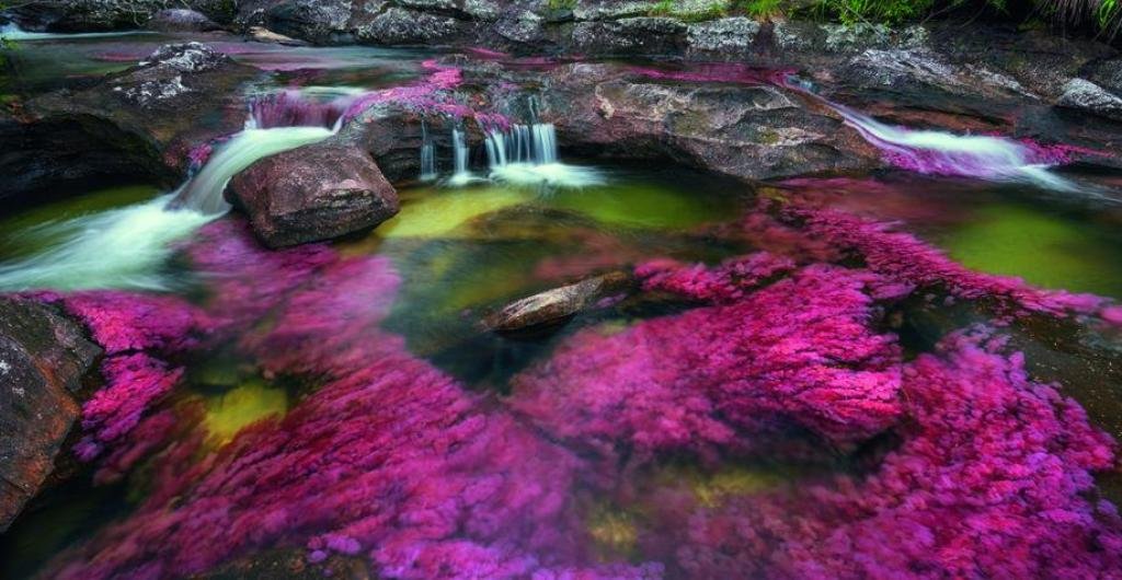Caño Cristales